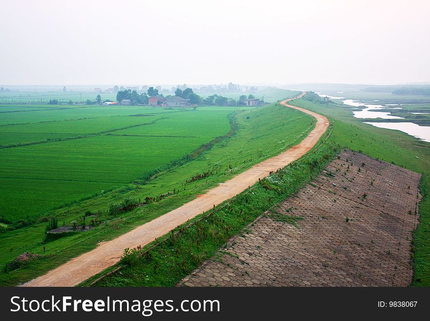 The fields are like garden city