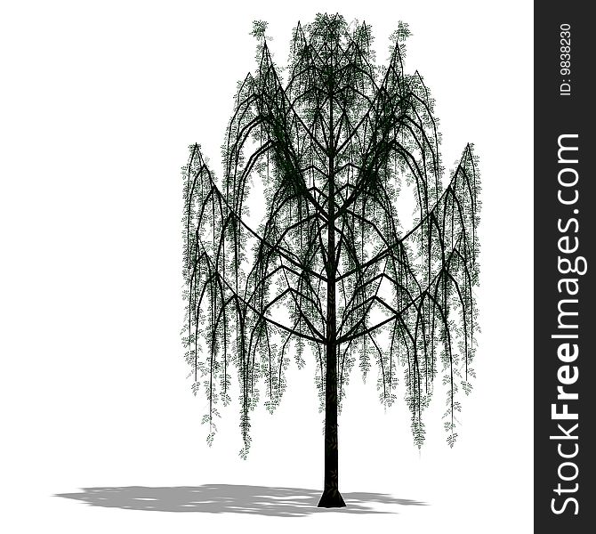 3D Render of a Tree with shadow and clipping path over white