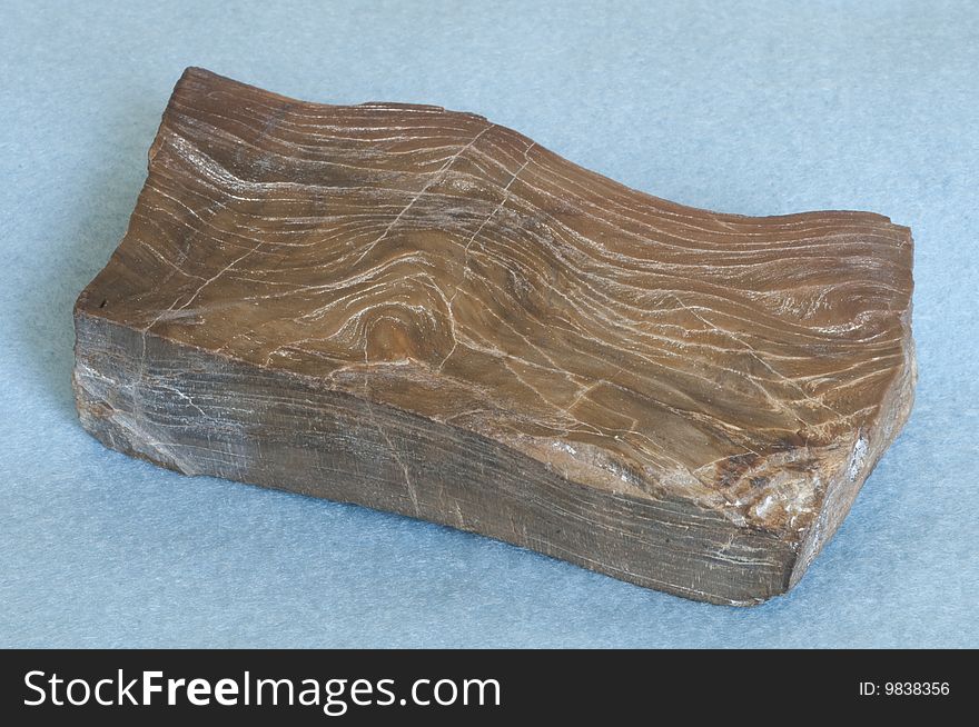 Dark Brown Petrified Wood