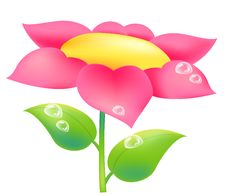 Flower Stock Images Flower Stock Images