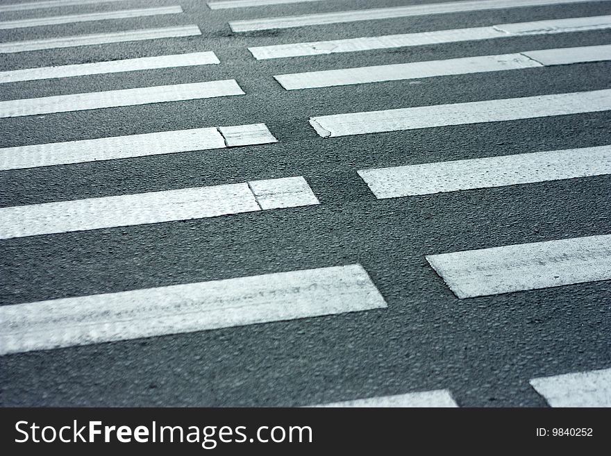 Pedestrian. Zebra on Road in City. Transportation. Pedestrian. Zebra on Road in City. Transportation.