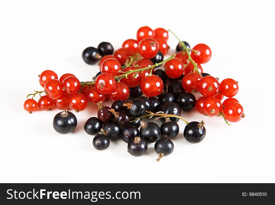 Currant red and black isolated on white