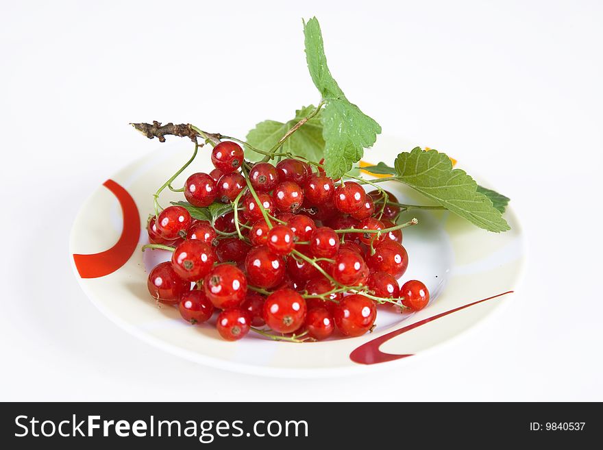 Currant red isolated on white