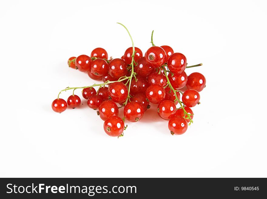 Currant red isolated on white