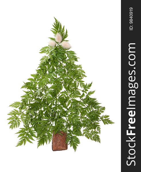 Decorative cristmas spruce