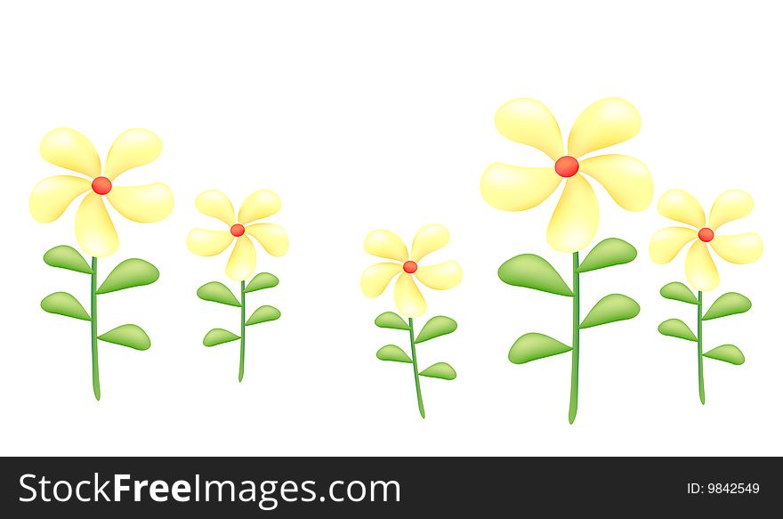 A group of yellow daises on the white background. A group of yellow daises on the white background