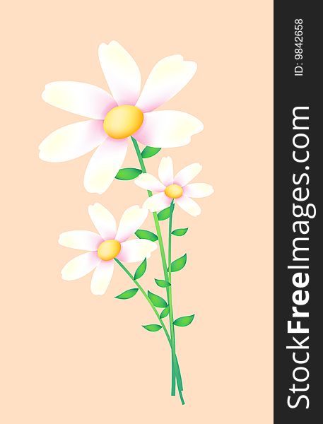 White flower on the pink background