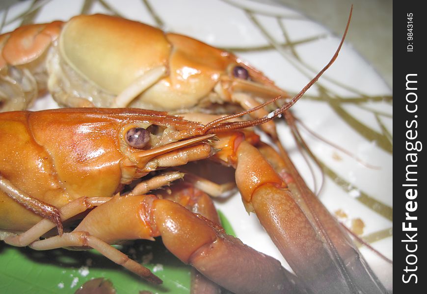 Two small lobsters on the plate