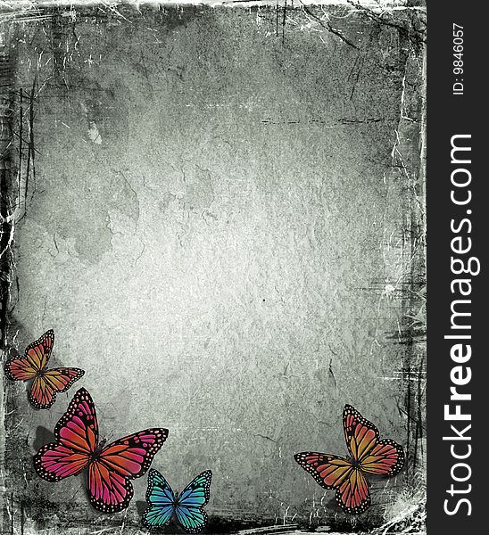 Butterfly on a grunge background. Butterfly on a grunge background