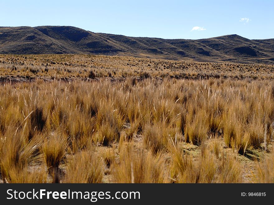 A beautiful desert in bolivia