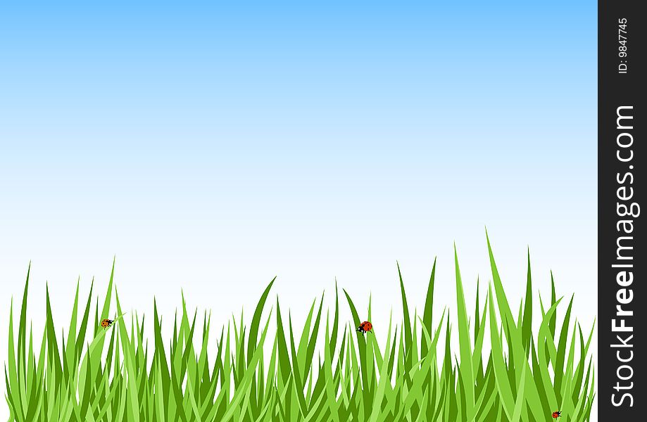 Grass green background vector illustration
