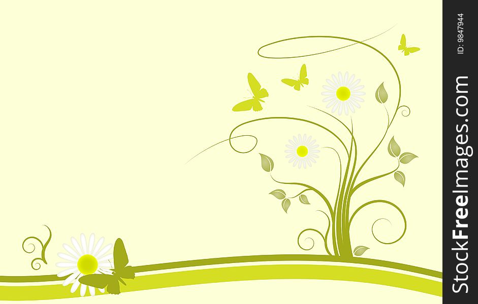 Illustrated green background with daisy and butterflies. Illustrated green background with daisy and butterflies