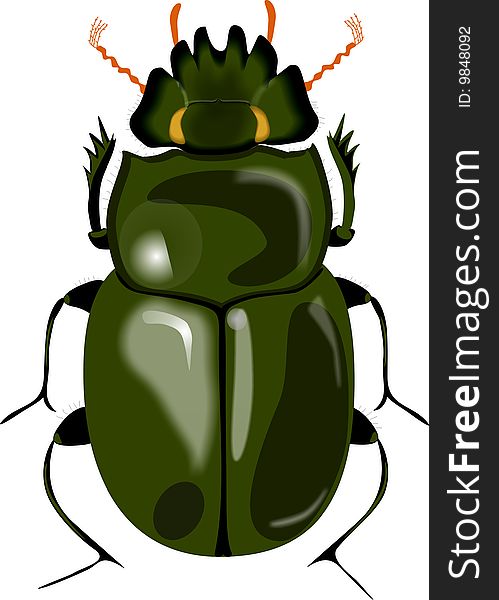Green scarab bug detailed and isolated. One of the symbols of Feng shui. Green scarab bug detailed and isolated. One of the symbols of Feng shui.