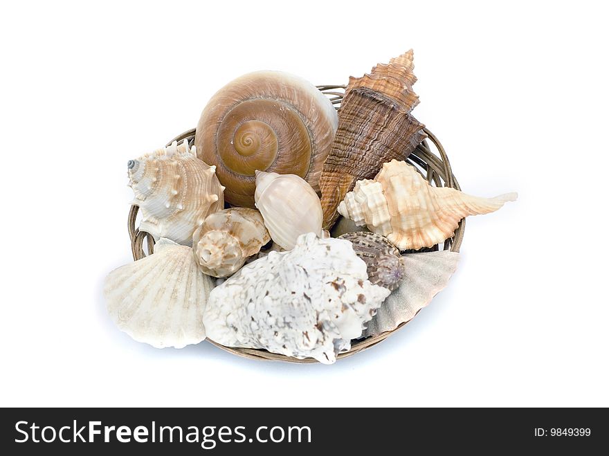 Cockleshells in a basket on the white isolated background