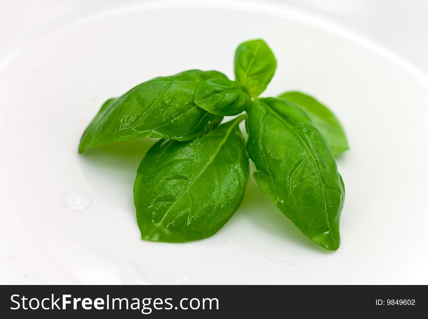 A Bunch Of Mint Leaves