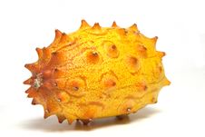 Kiwano Royalty Free Stock Photography Kiwano Royalty Free Stock Photography