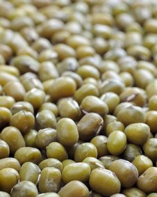 Green Bean Stock Images Green Bean Stock Images