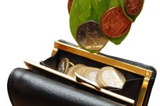 Green Leaves With Coins Stock Images Green Leaves With Coins Stock Images