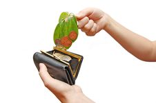 The Female Hand Holds Leaves And A Coins Royalty Free Stock Photography