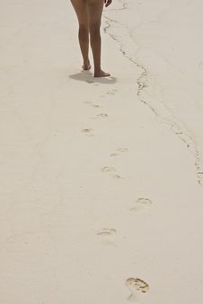 Footprints On The Beach Stock Images Footprints On The Beach Stock Images
