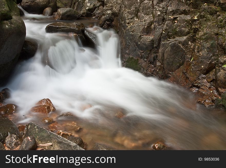 Stream In Tropical Forest