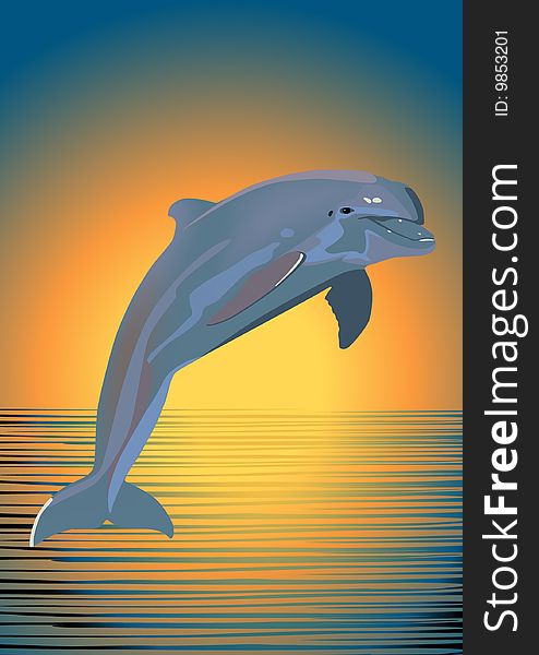 Dolphin on a background a sea