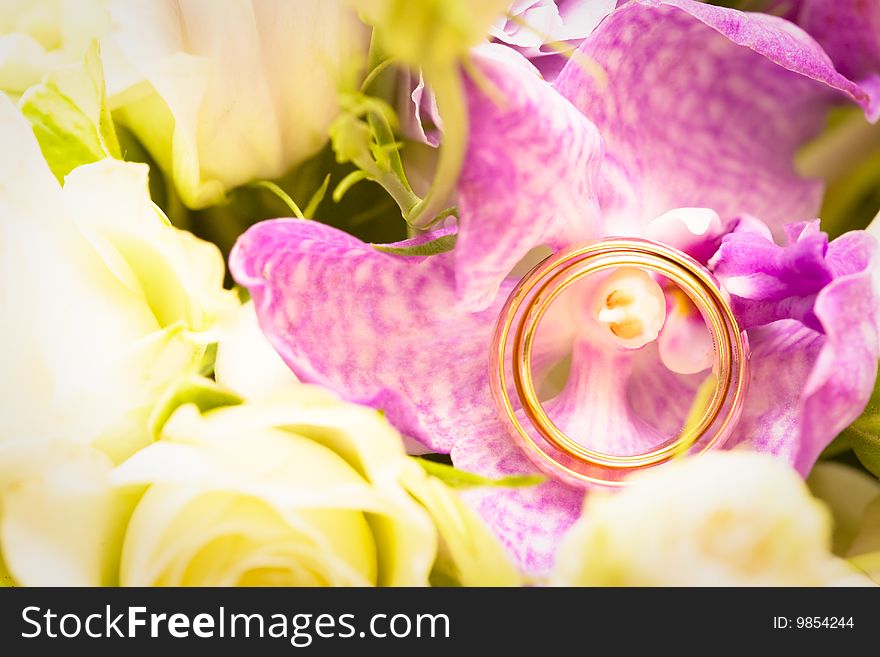 Orchid With Gold Wedding Bands, Close-up