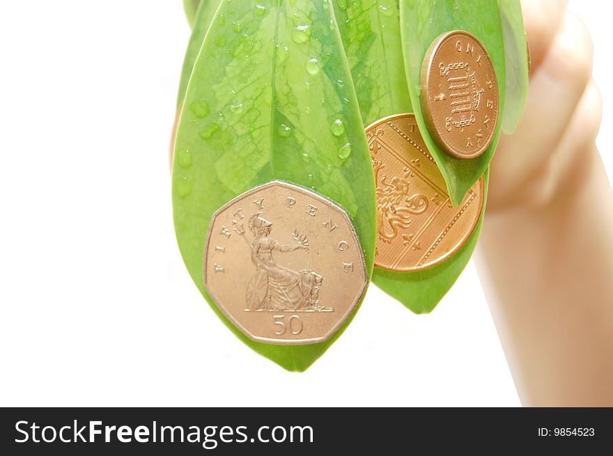 Female hand hold leave and a coin. Female hand hold leave and a coin