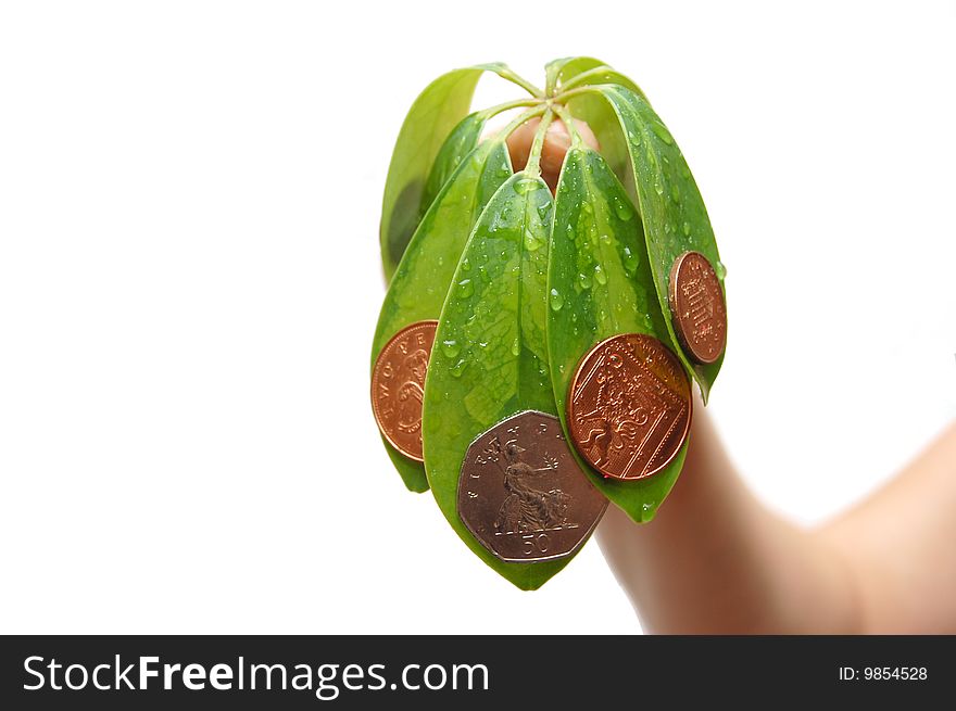 The female hand holds leaves and a coins