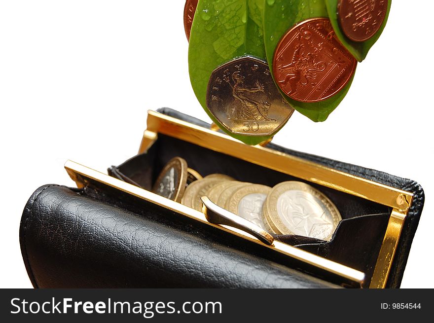 Green leaves with coin and  purse onwhite background. Green leaves with coin and  purse onwhite background