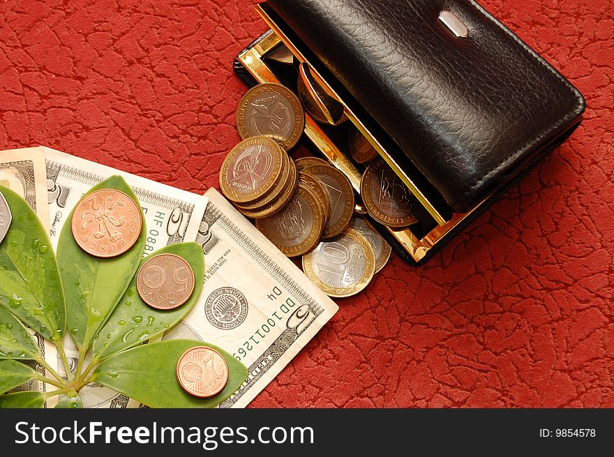 Green leaves with coins