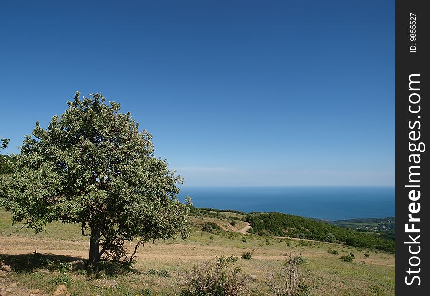 Summer mountains landscape with tree and blue sea-line. Summer mountains landscape with tree and blue sea-line