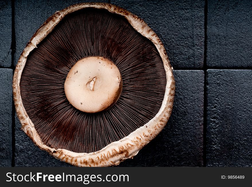 Portabella Mushroom Cap On A Black Background