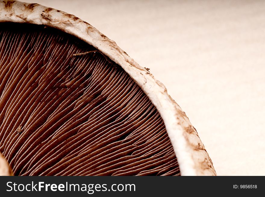 Macro of a portabella mushroom cap on a brown textured background