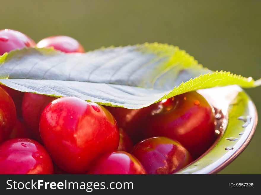 Fresh cherries in a stainless steel cup. Fresh cherries in a stainless steel cup