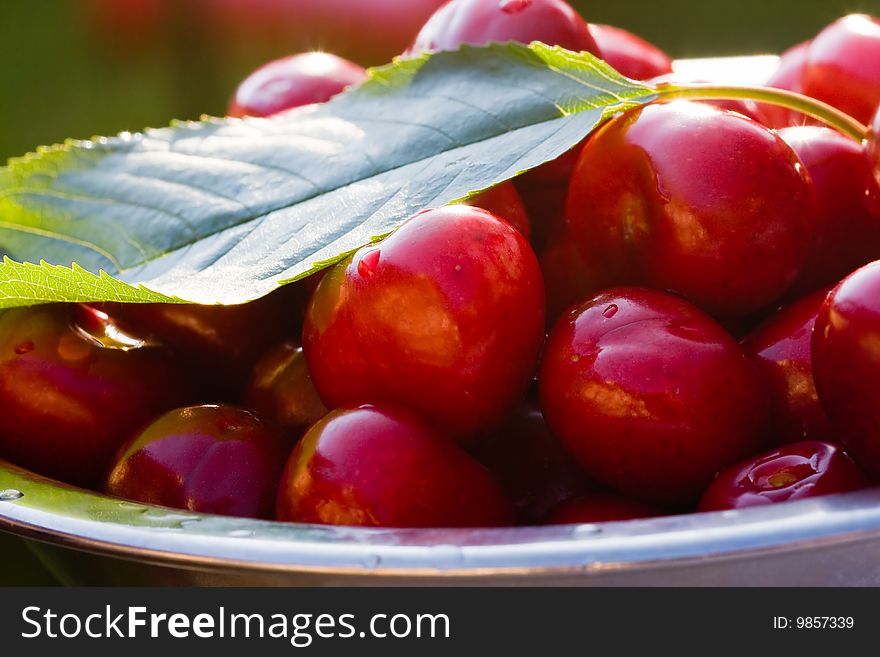 Fresh cherries in a stainless steel cup. Fresh cherries in a stainless steel cup