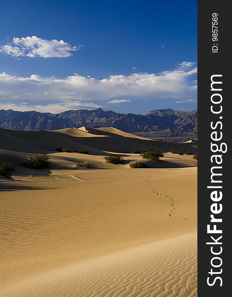 Picture of sand dunes in Death Valley National Park. Picture of sand dunes in Death Valley National Park