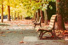 Bench In Shijuku Park, Colorful Autumn Seasoning, Tokyo Japan Stock Photos