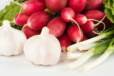 Spring Onions, Garlic, Lettuce And Radish Stock Photography Spring Onions, Garlic, Lettuce And Radish Stock Photography