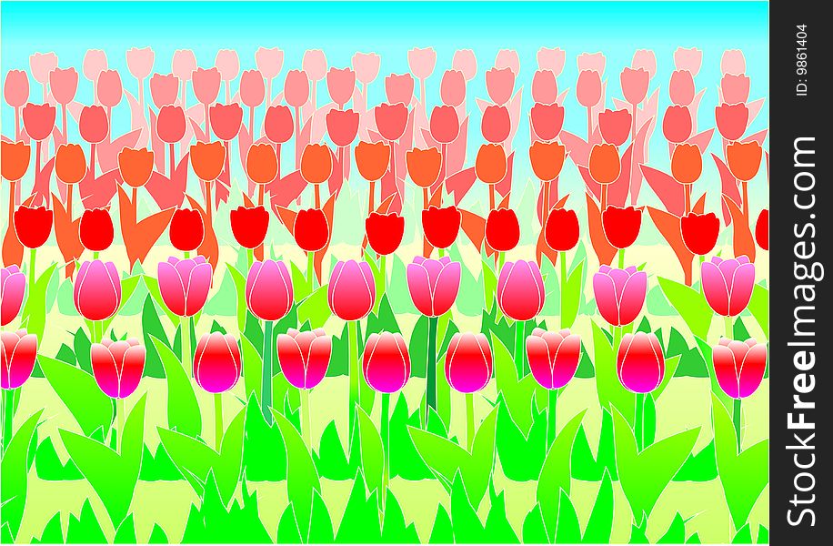 Figure a background from numbers of flowers of a tulip. Figure a background from numbers of flowers of a tulip