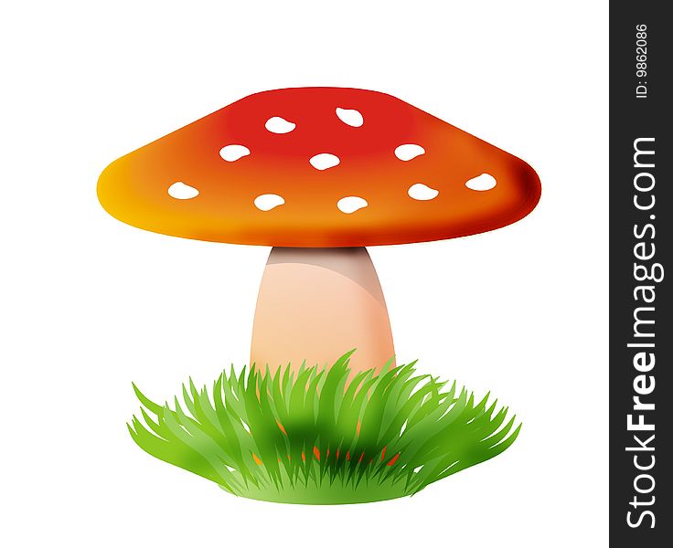 Mushroom on white background. Digitally drawing.