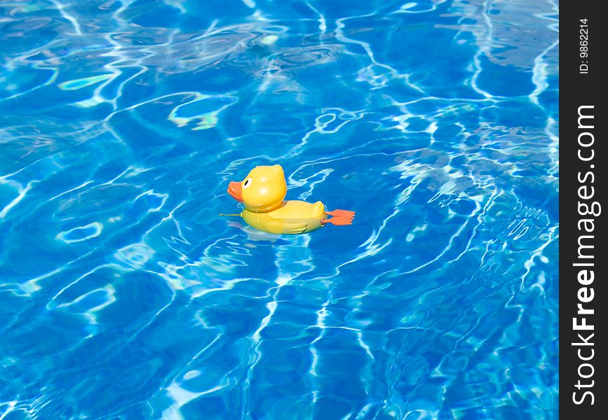 The children's toy the duckling floats in the big pool. The children's toy the duckling floats in the big pool