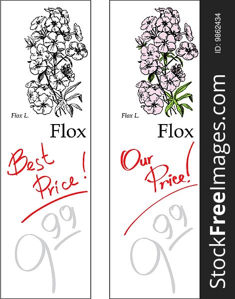 Flox - two price tags for flower shop; old woodcut imitation