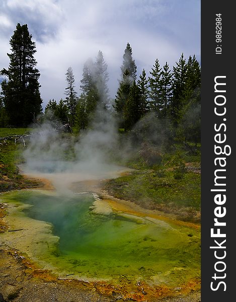 Picture of a geyser in Yellowstone National Park