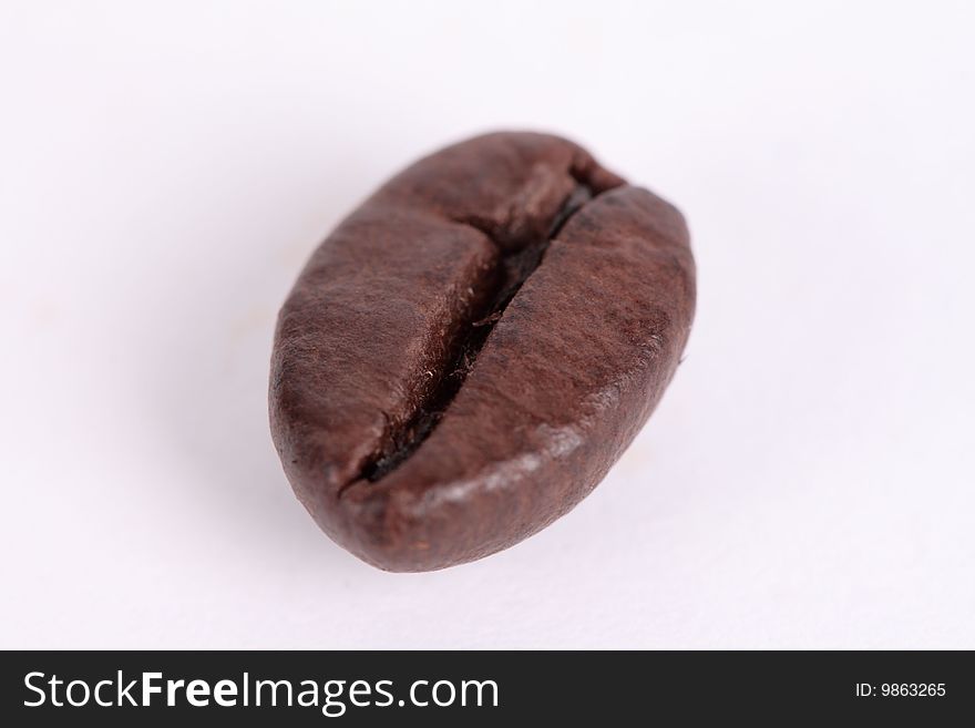 One coffee bean on a white background