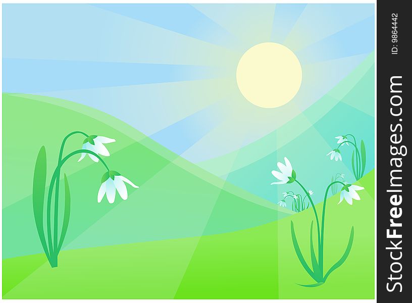 Vector illustration of snowdrops in the meadow under the light of the spring sun. Everything is fresh and filled with new hopes. Vector illustration of snowdrops in the meadow under the light of the spring sun. Everything is fresh and filled with new hopes.