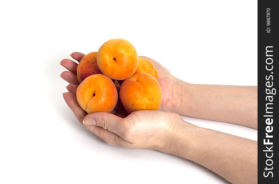 Fresh apricot isolated on white. Fresh apricot isolated on white