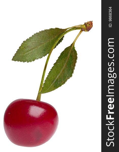 Cherry on a white background