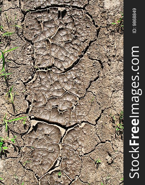 Cracked ground texture. Global warming concept