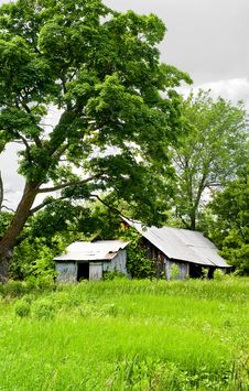 Run Down Barn In The Overgrowth Royalty Free Stock Images Run Down Barn In The Overgrowth Royalty Free Stock Images